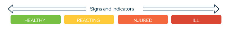 The Mental Health Continuum Tool. Multicolored boxes with titles: HEALTHY, REACTING, INJURED, ILL.