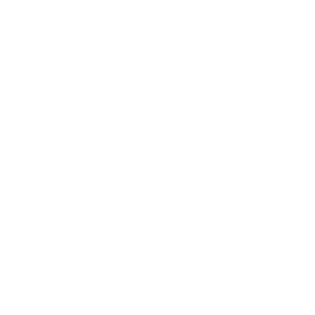White MHFA logo